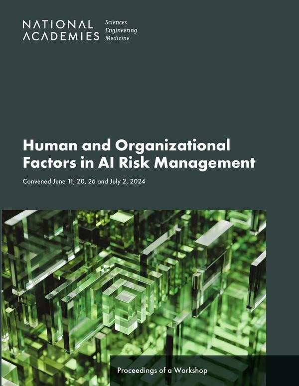 Human and Organizational Factors in AI Risk Management | HEINRICH / AA.VV. HOFFMANN