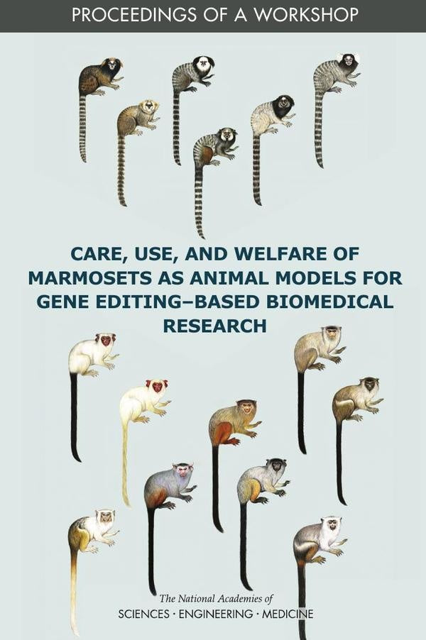 Care, Use, and Welfare of Marmosets as Animal Models for Gene Editing-Based Biomedical Research | HEINRICH / AA.VV. HOFFMANN