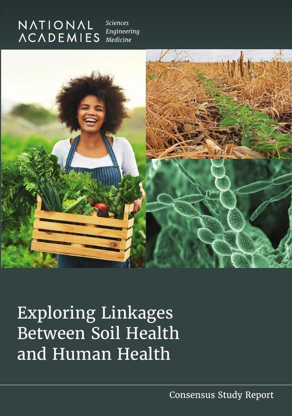 Exploring Linkages Between Soil Health and Human Health | HEINRICH / AA.VV. HOFFMANN