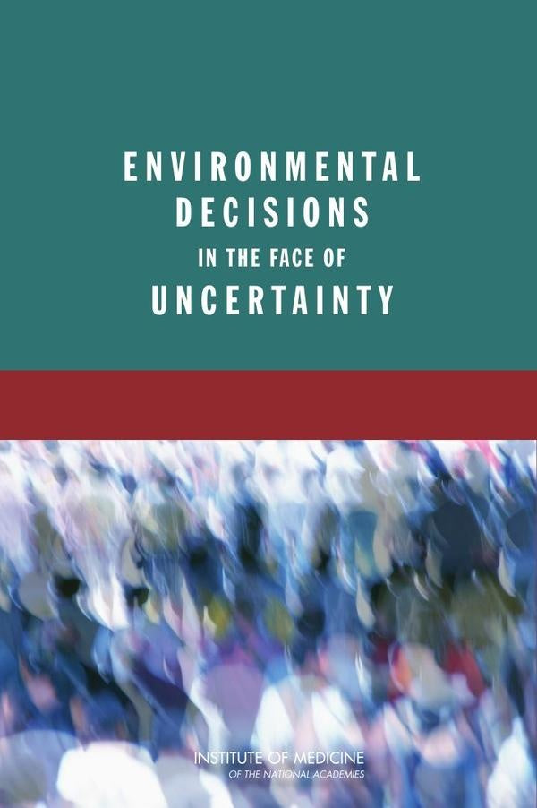 Environmental Decisions in the Face of Uncertainty | HEINRICH / AA.VV. HOFFMANN