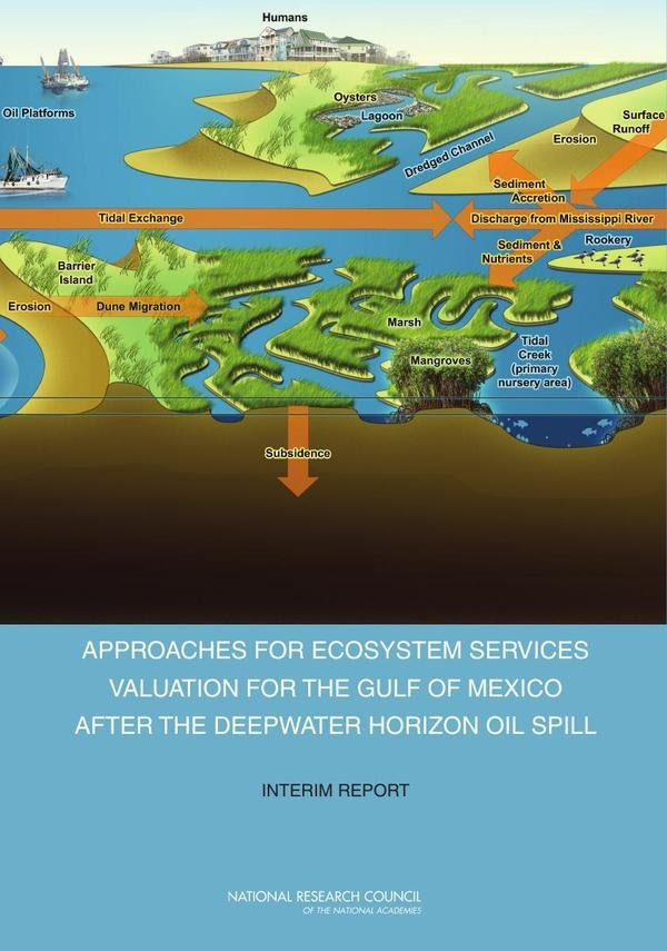 Approaches for Ecosystem Services Valuation for the Gulf of Mexico After the Deepwater Horizon Oil S | HEINRICH / AA.VV. HOFFMANN