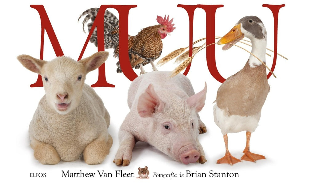MUU | MATTHEW VAN FLEET