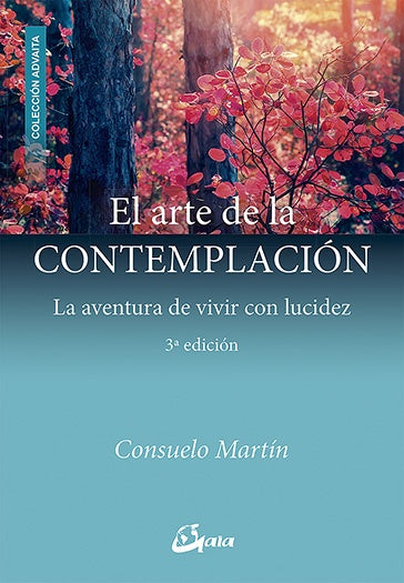 ARTE DE LA CONTEMPLACION EL | CONSUELO MARTIN