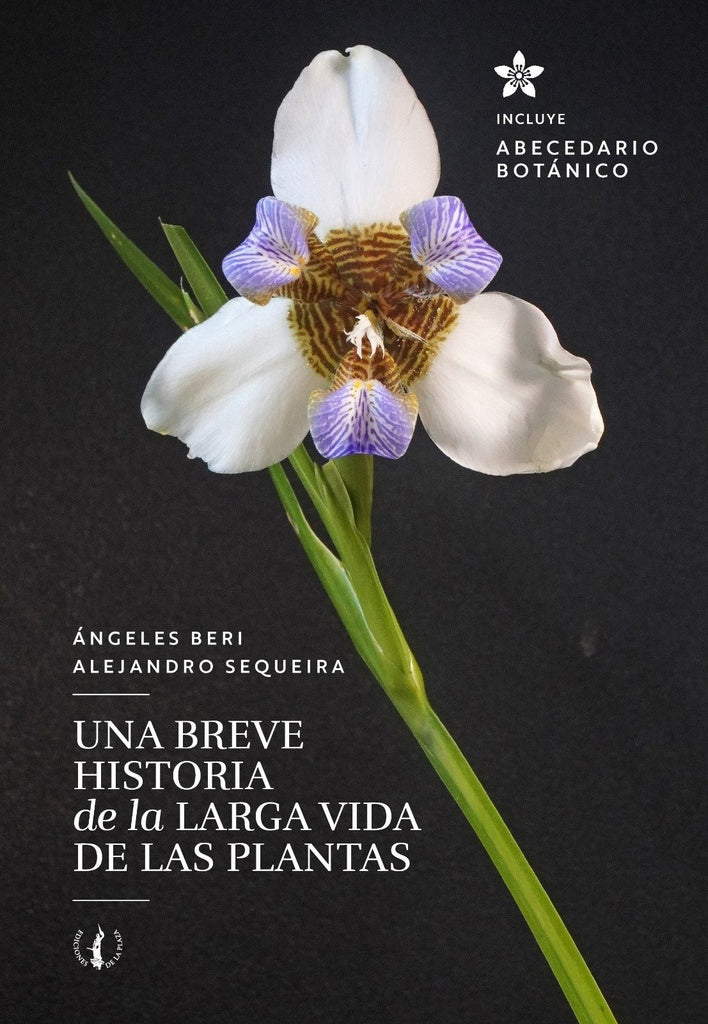Una breve historia de la larga vida de las plantas | Beri, SEQUEIRA