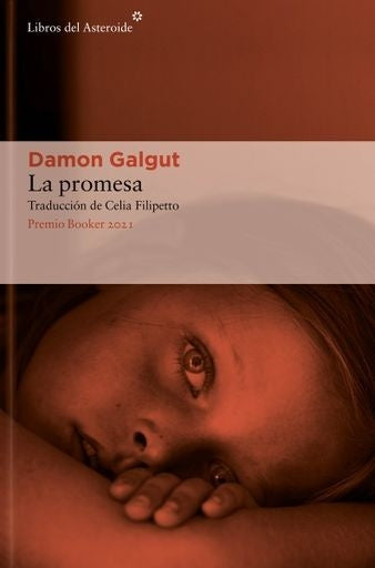 La promesa | DAMON GALGUT