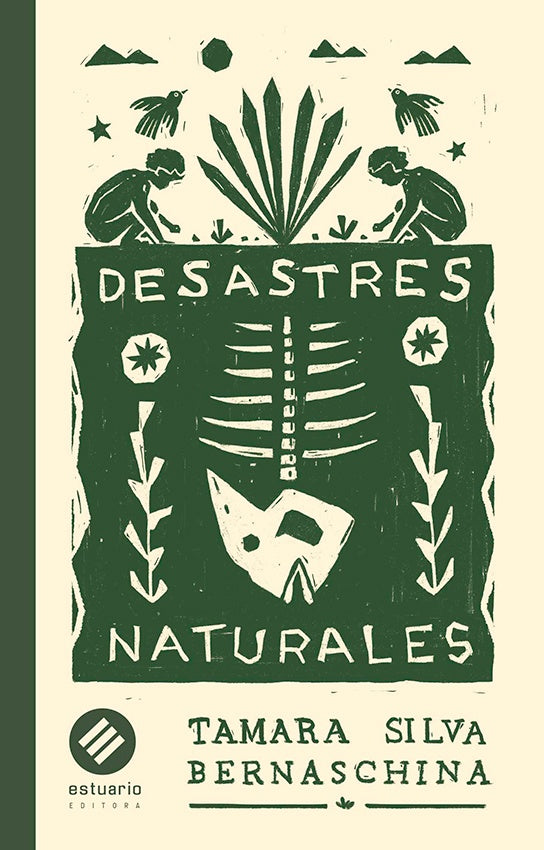 Desastres naturales | Tamara Silva Bernaschina