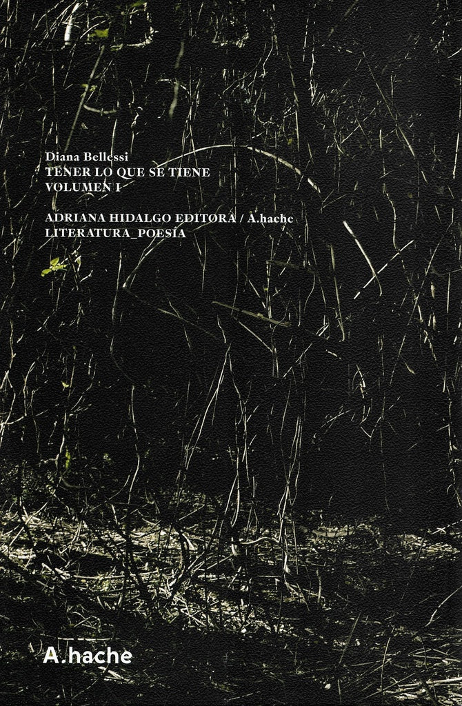 TENER LO QUE SE TIENE. VOLUMEN I | DIANA BELLESSI