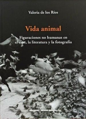 VIDA ANIMAL | VALERIA DE LOS RIOS