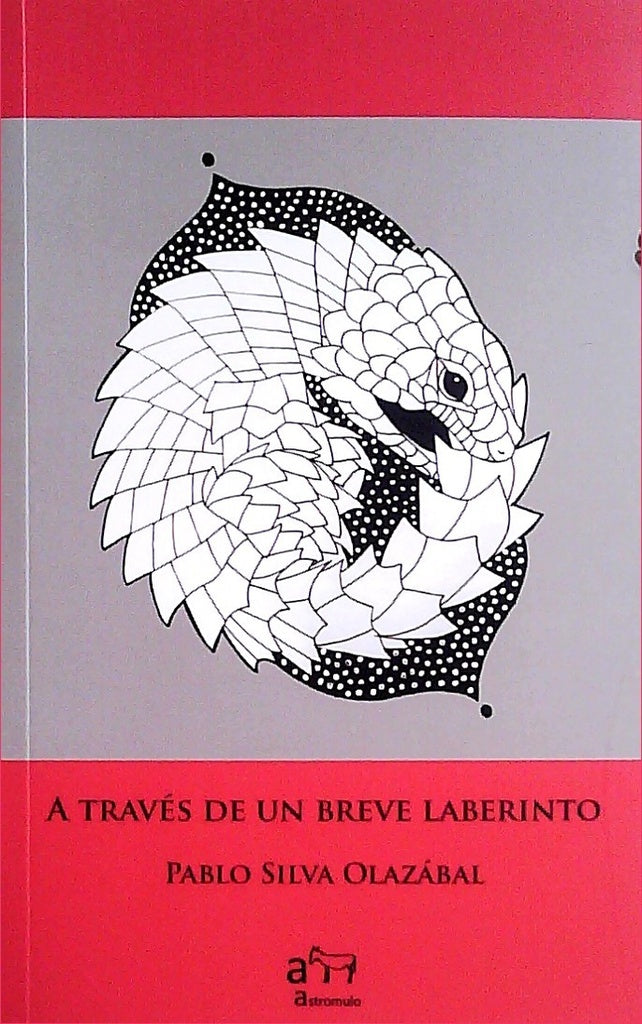A través de un breve laberinto | PABLO SILVA OLAZABAL