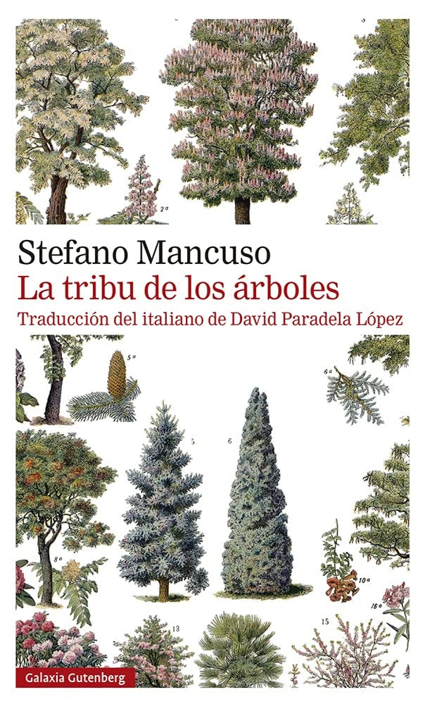La tribu de los árboles | STEFANO MANCUSO