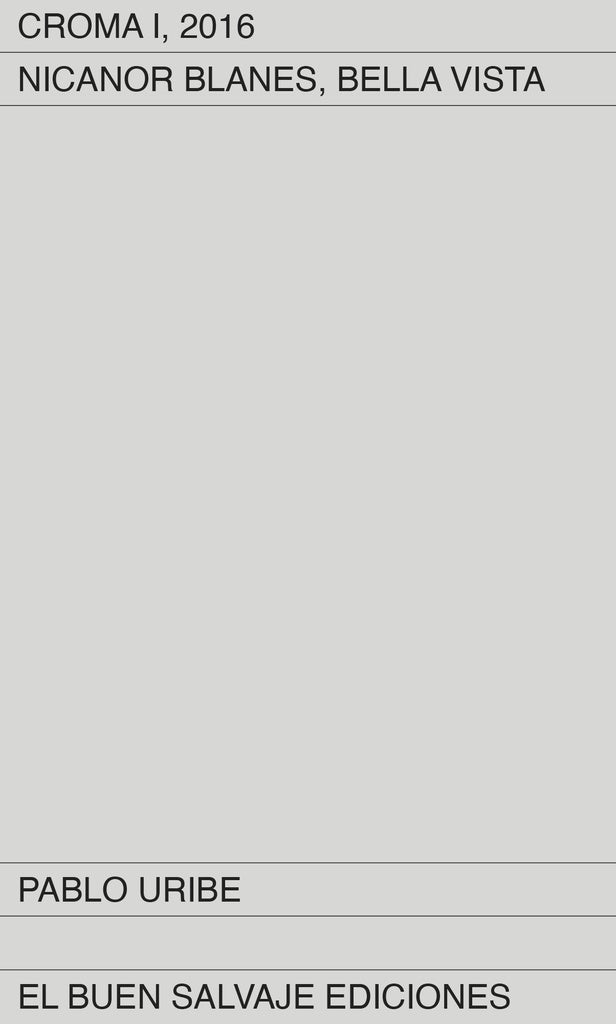 Croma I, 2016. Nicanor Blanes, Bella Vista | Pablo Uribe