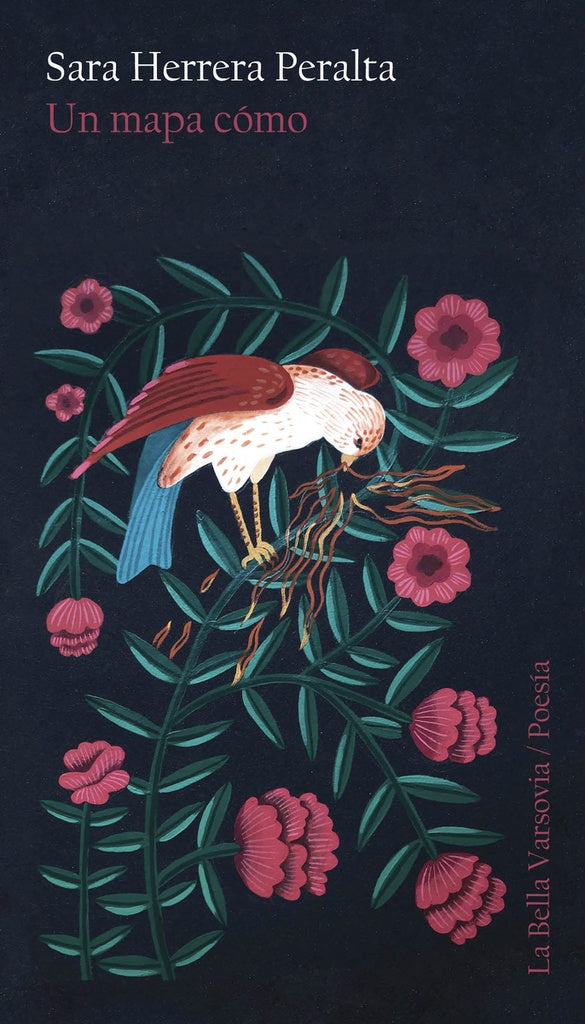 Un mapa cómo | SARA HERRERA PERALTA