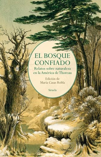 El bosque confiado | María Casas Robla