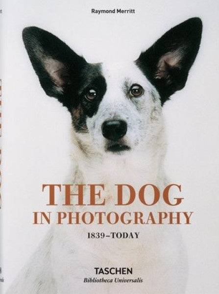 DOG IN PHOTOGRAPHY, THE | RAYMOND MERRITT
