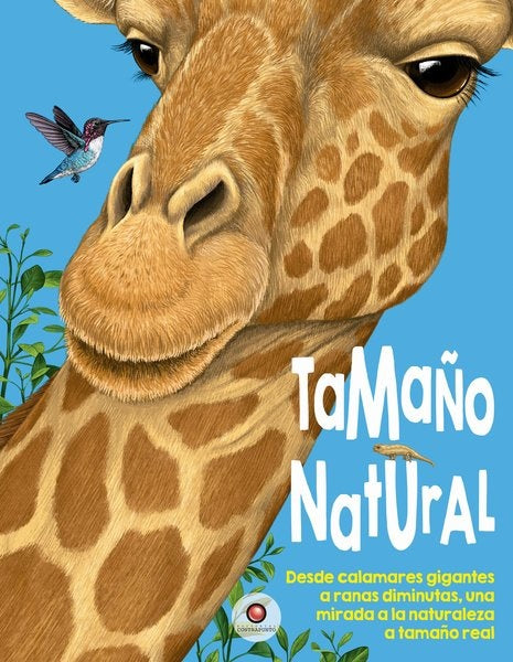 Tamaño natural | Contrapunto