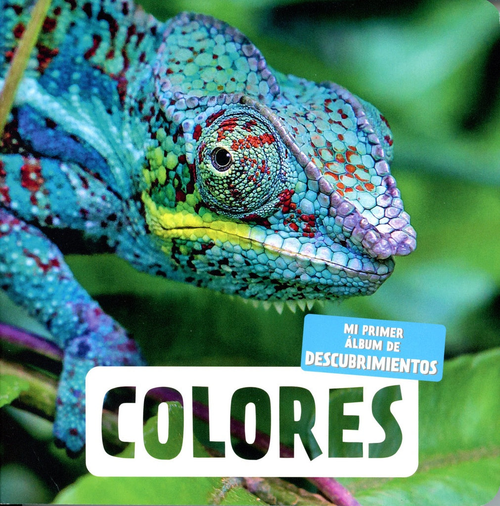 Colores | Andana