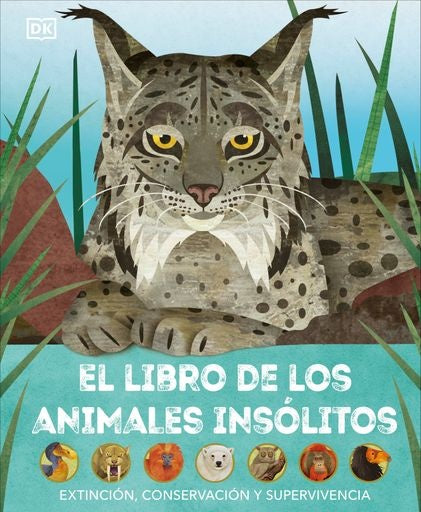 El libro de los animales insólitos | DK Infantil