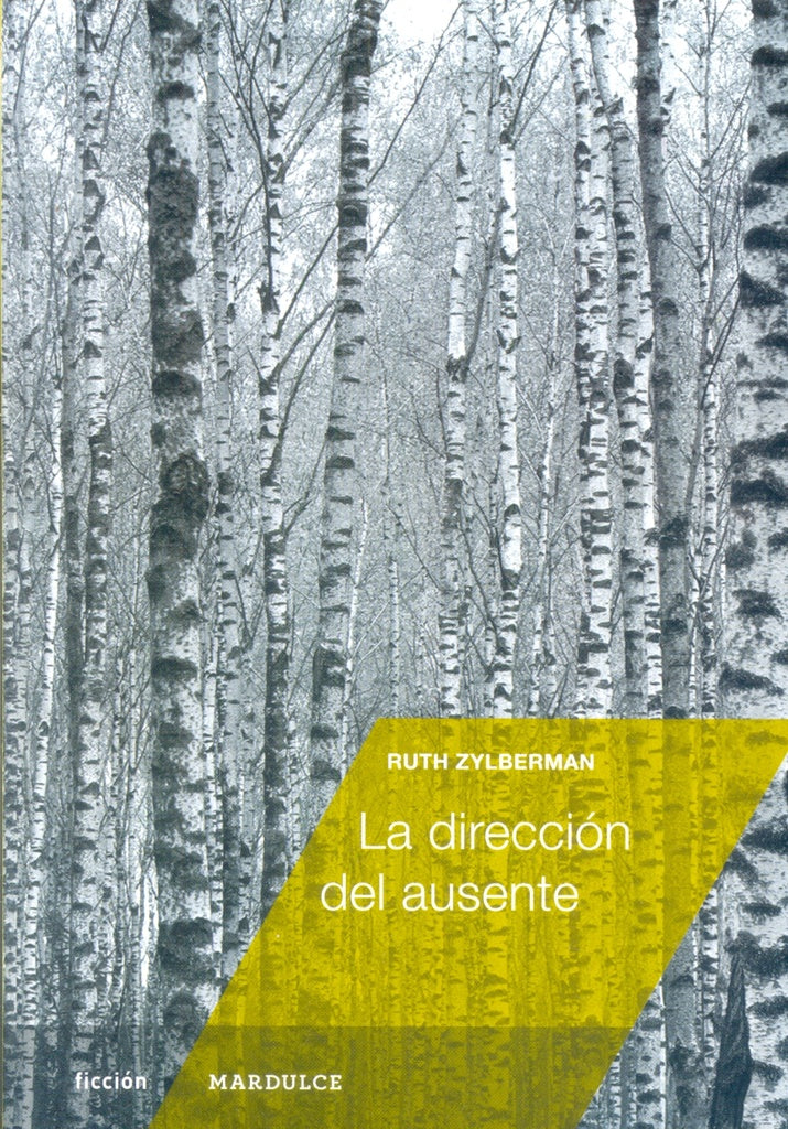 La dirección del ausente | RUTH ZYLBERMAN
