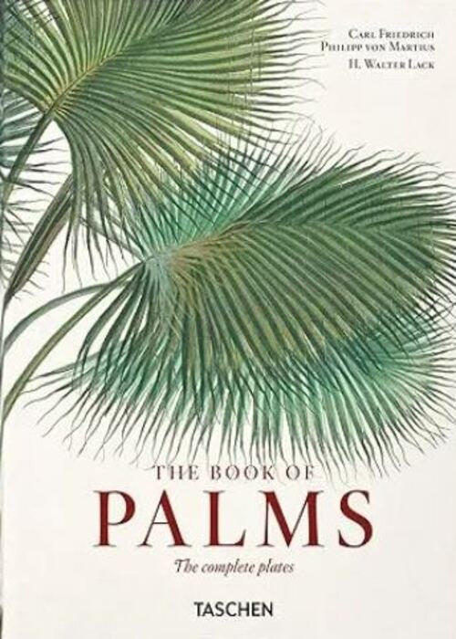 BOOK OF PALMS, THE | WALTER LACK