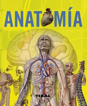 ANATOMIA