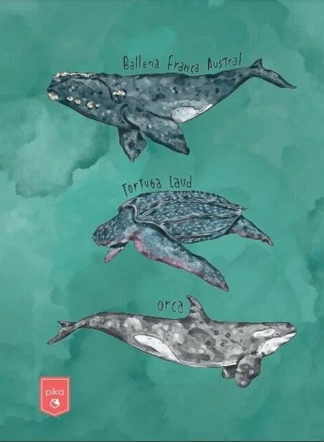 CUADERNO. OCEANO URUGUAY