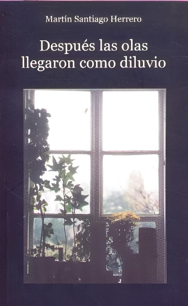 Después la olas llegaron como diluvio | MARTIN SANTIAGO HERRERO
