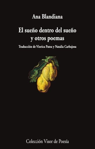 SUEÑO DENTRO DEL SUEÑO Y OTROS POEMAS, EL | BLANDIANA ANA