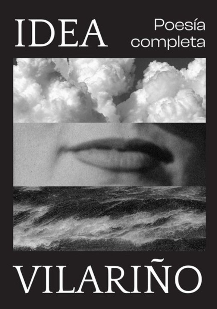 Poesía completa | IDEA VILARIÑO
