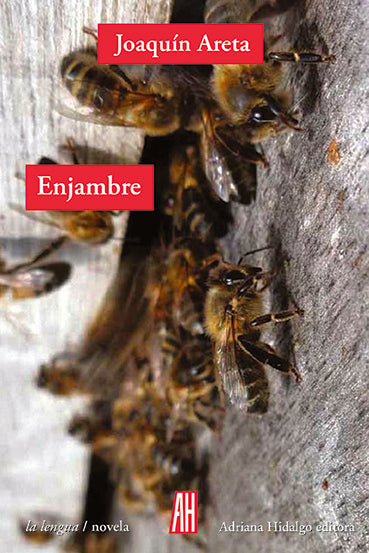 ENJAMBRE | JOAQUIN ARETA