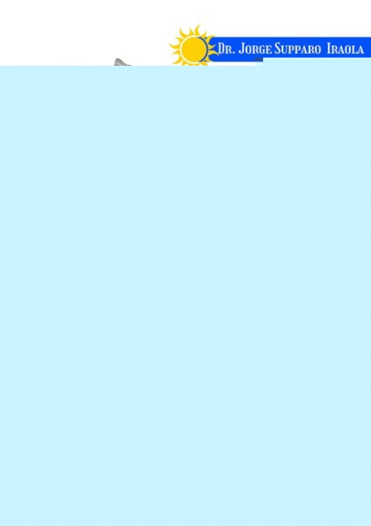 En busca del léxico perdido | SUPPARO IRAOLA JORGE