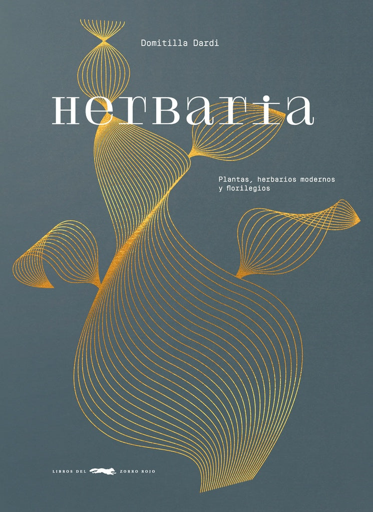 Herbaria | DOMITILLA DARDI
