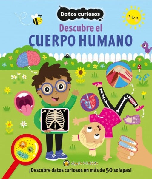 Datos curiosos: Cuerpo humano | EL GATO DE HOJALATA