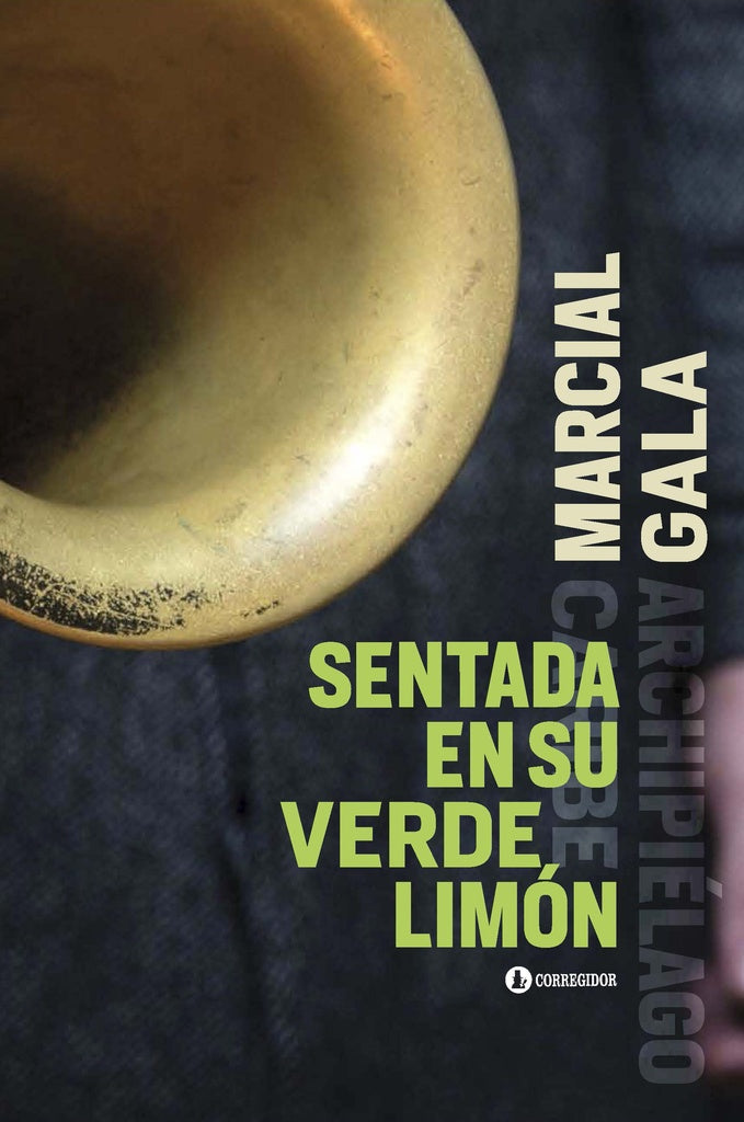 Sentada en su verde limón | MARCIAL GALA