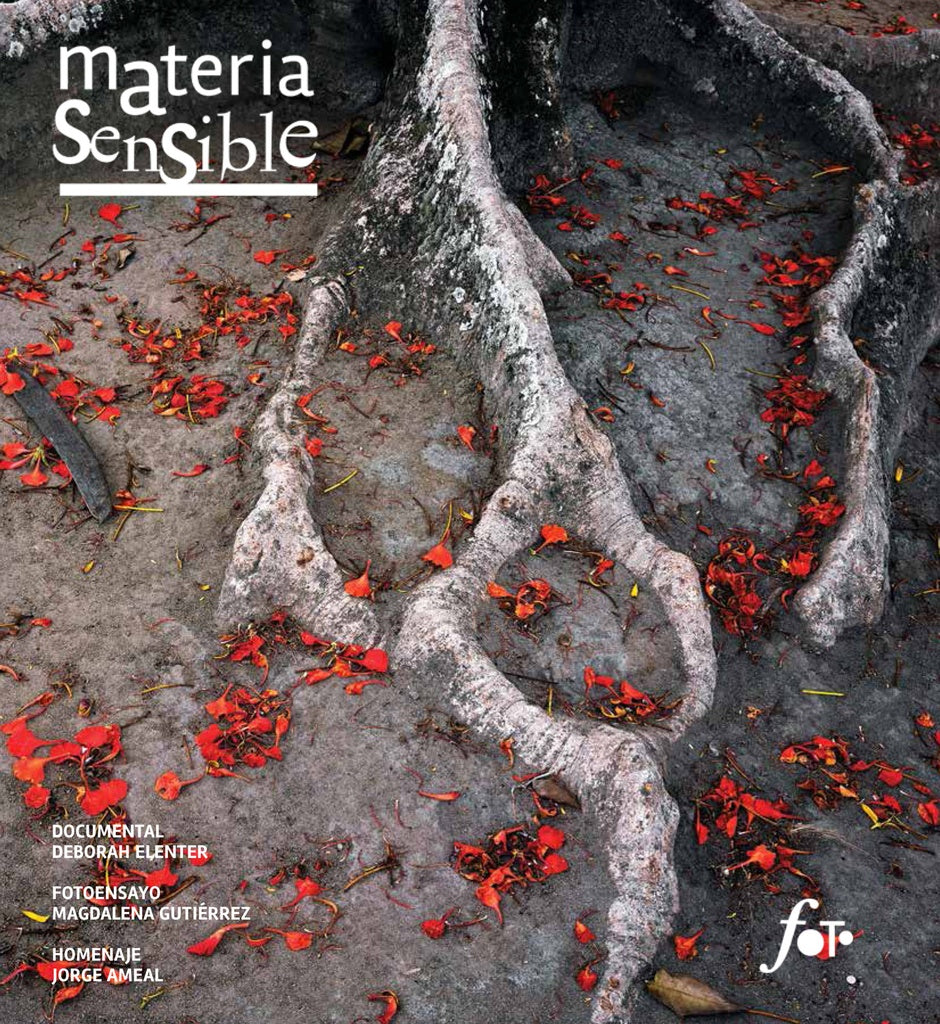 Materia sensible 18 | FOTOCLUB URUGUAYO