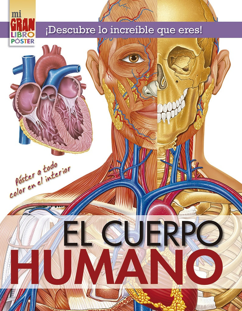 MI GRAN LIBRO POSTER: EL CUERPO HUMANO | Varios autores