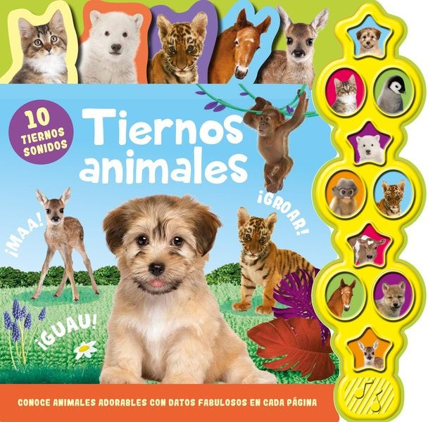 10 SONIDOS DE ANIMALES. TIERNOS ANIMALES