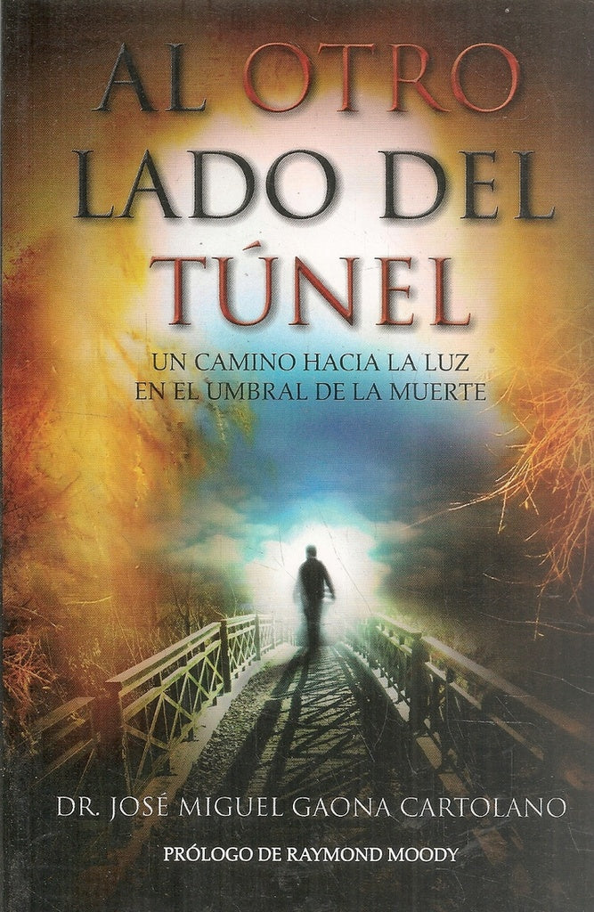 AL OTRO LADO DEL TUNEL | GAONA CARTOLANO JO