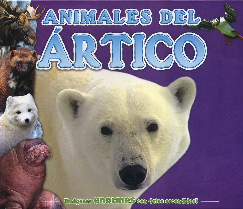 Animales del Ártico | Varios autores