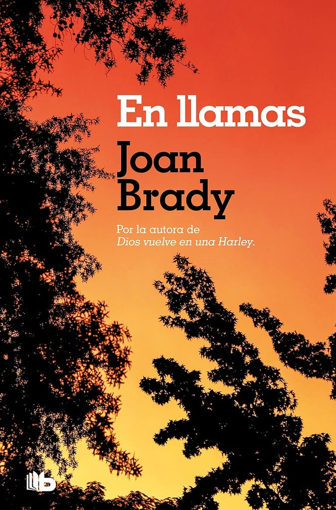 En llamas | BRADY JOAN