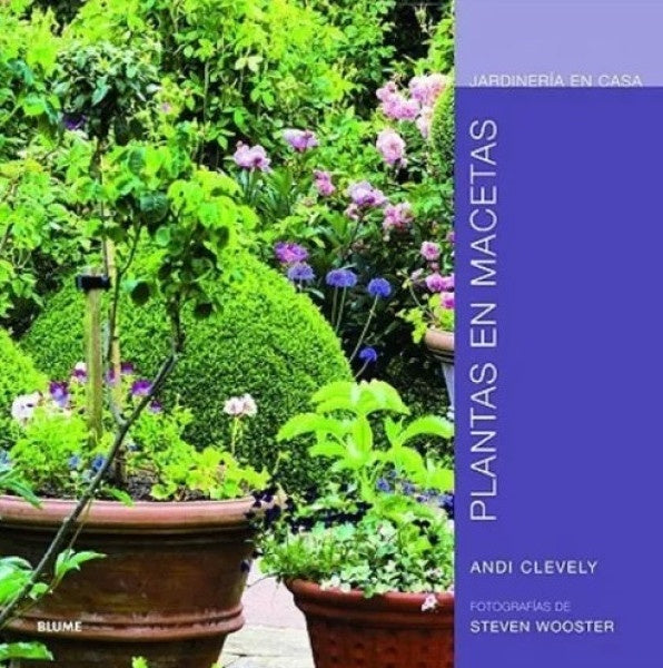 PLANTAS EN MACETAS. JARDINERIA EN CASA | CLEVELY ANDI