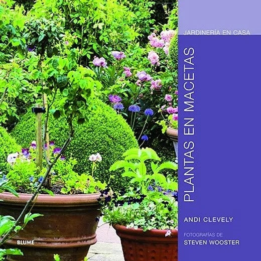 PLANTAS EN MACETAS. JARDINERIA EN CASA | CLEVELY ANDI