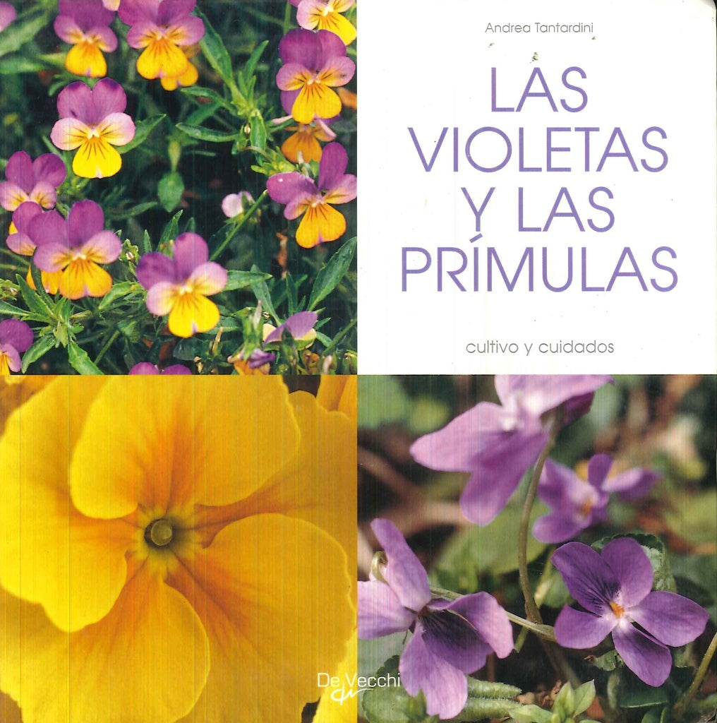 Las violetas y las prímulas | TANTARDINI ANDREA