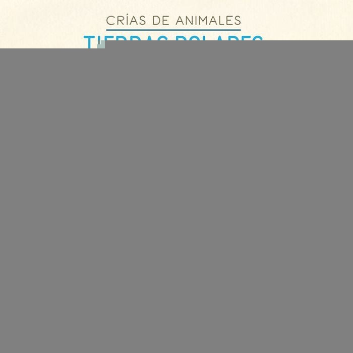 ¿Quién soy? Crías de animales: Tierras polares | Tándem Seceda