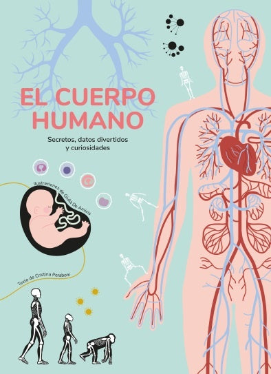 El cuerpo humano | PERABONI CRISTINA/ DE AMICIS GIULIA