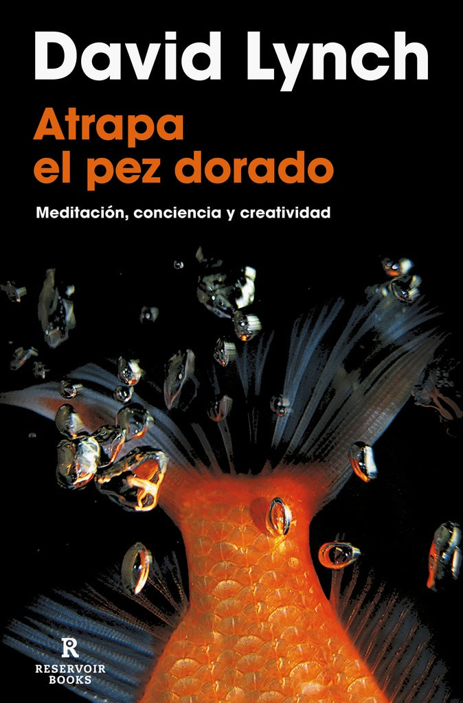 Atrapa el pez dorado | David Lynch