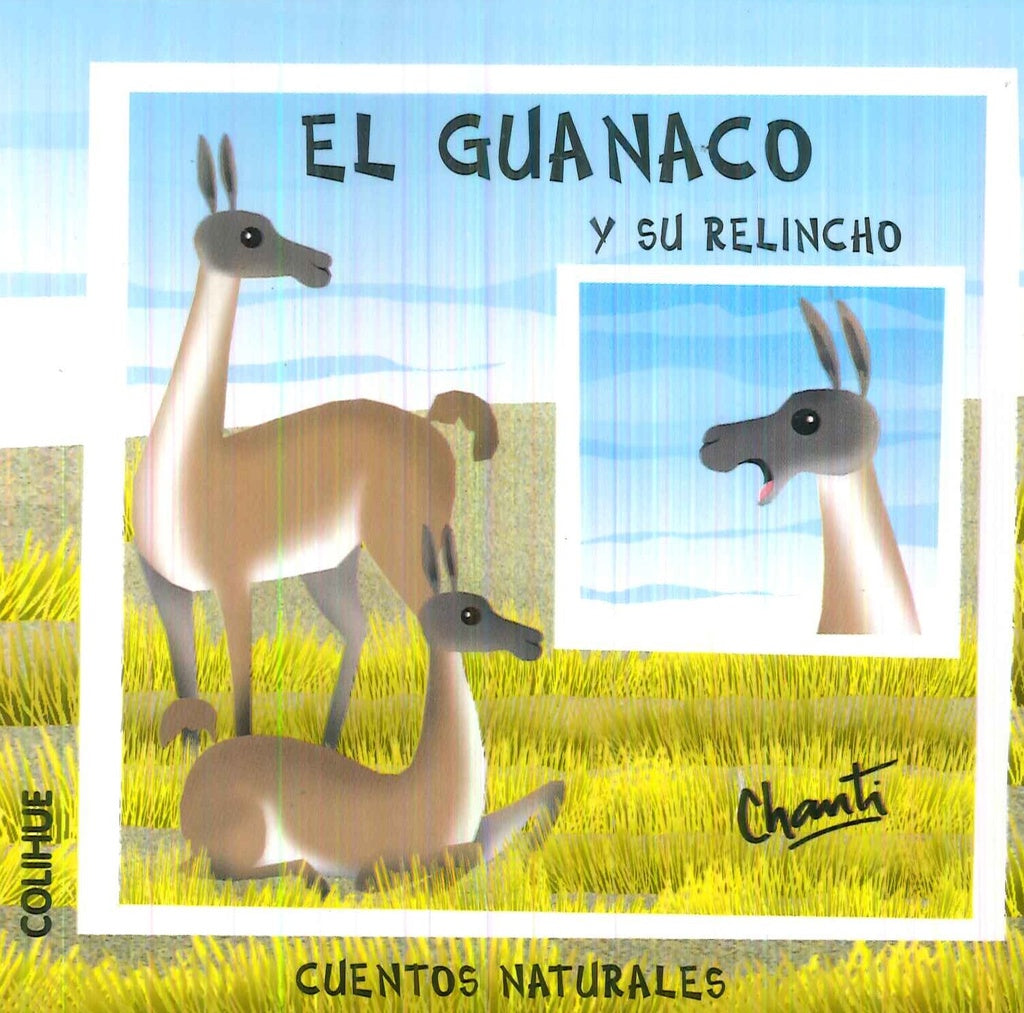 EL GUANACO Y SU RELINCHO | CHANTI