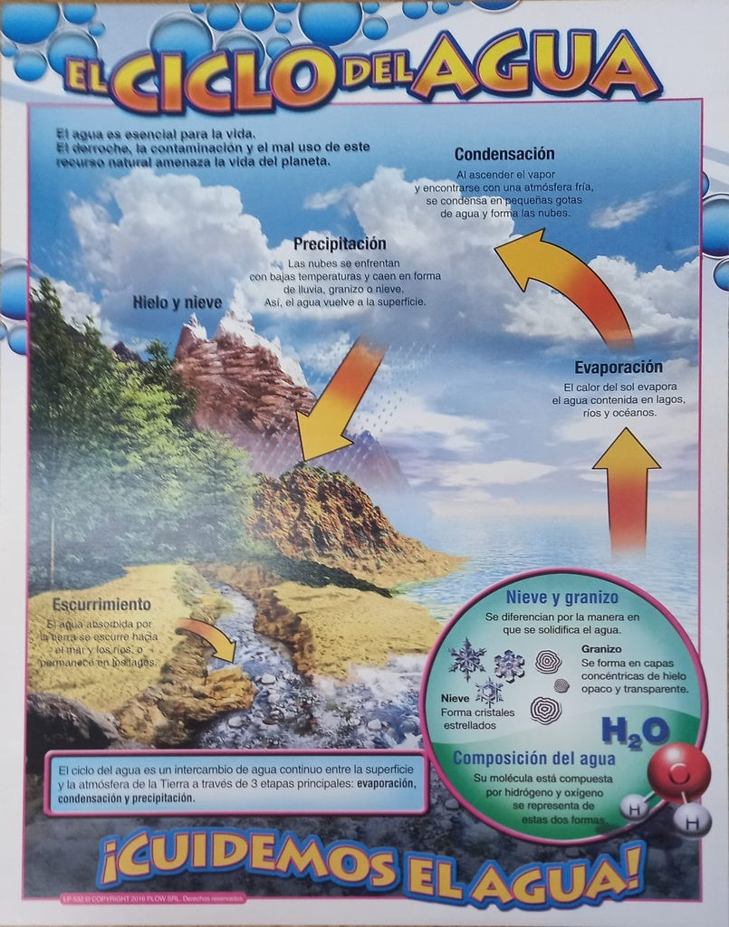 LAMINA - CICLO DEL AGUA | Carton 43x56