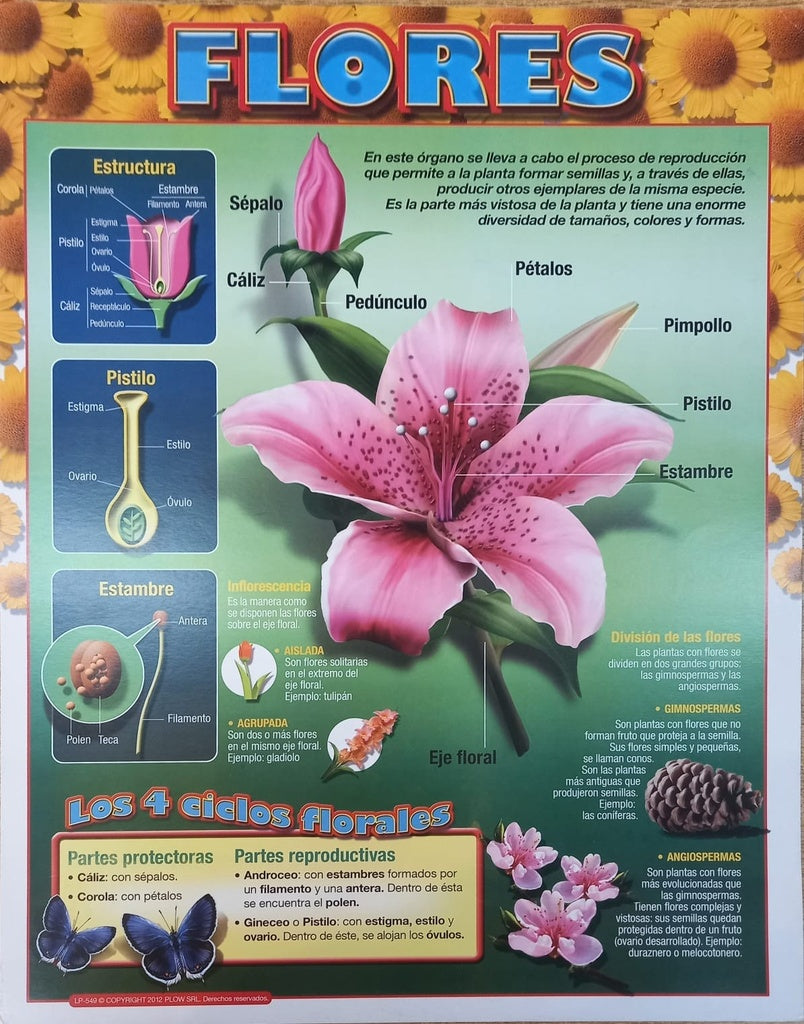 LAMINA - FLORES | Carton 43x56