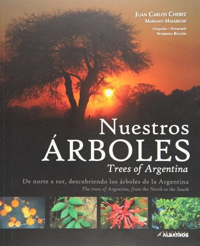 NUESTROS ÁRBOLES | Masariche Chébez