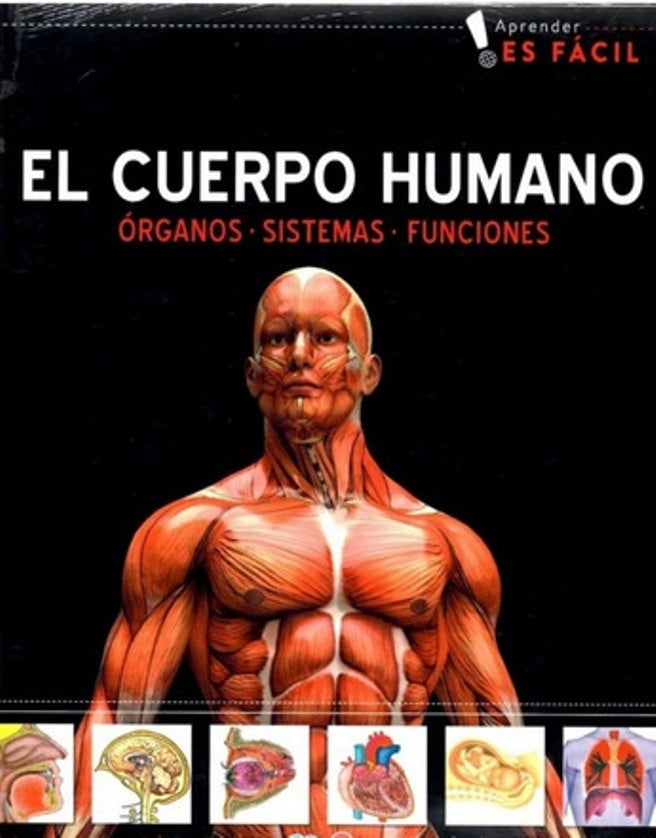 El cuerpo humano. Aprender es fácil | Varios autores